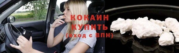мяу мяу мука Аркадак