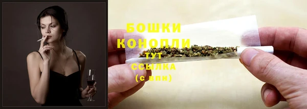 соль ск Арсеньев