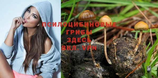 твердый Армянск